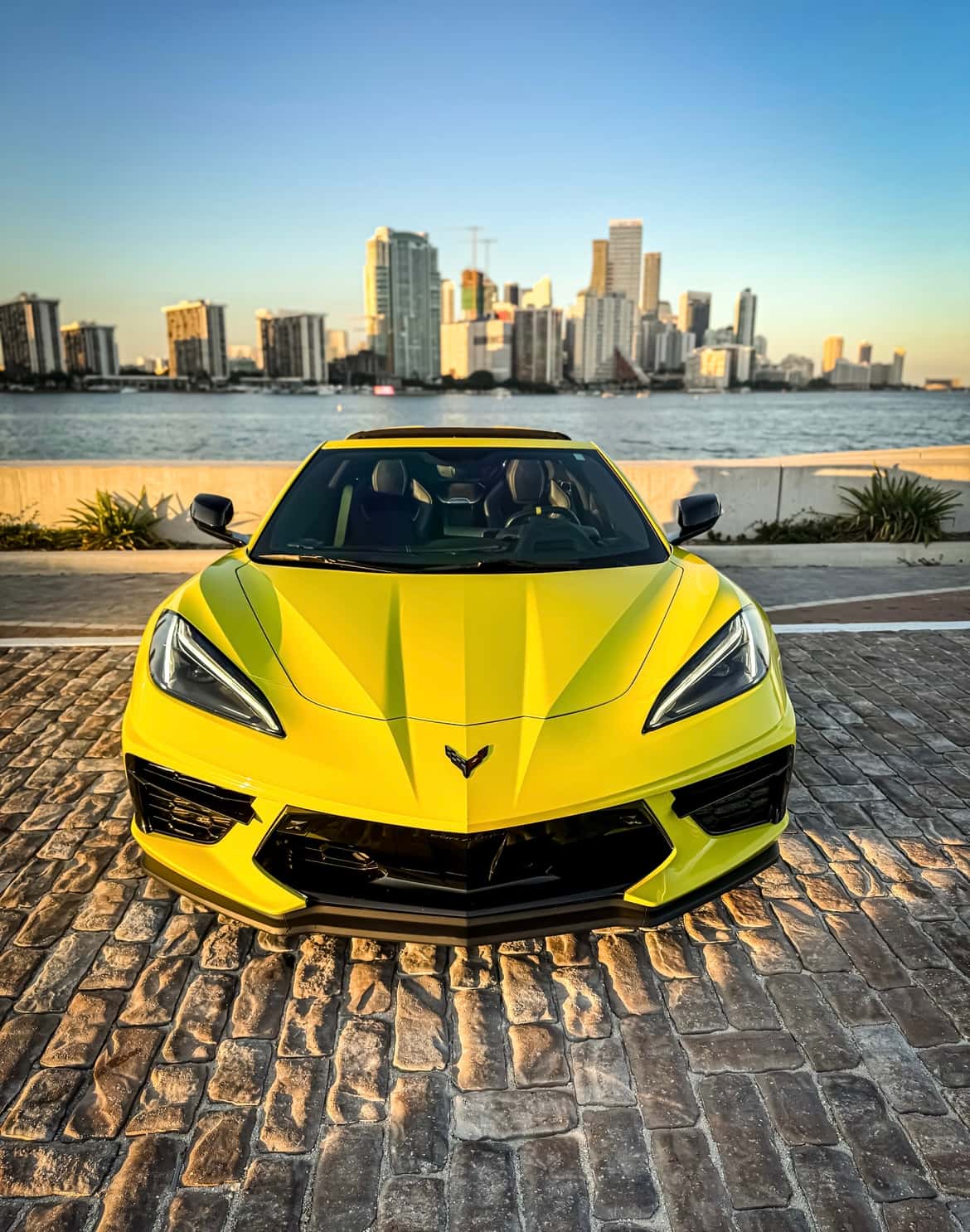C8 Corvette Rental in Miami thumbnail 2